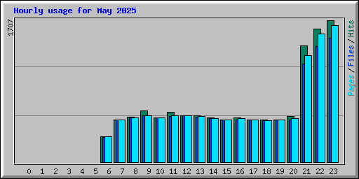 Hourly usage for May 2025