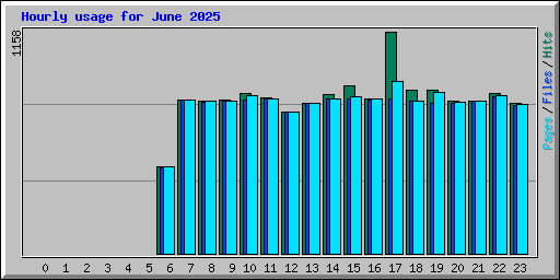 Hourly usage for June 2025