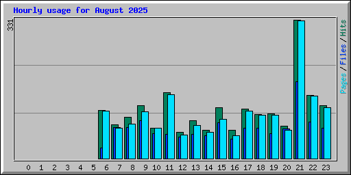 Hourly usage for August 2025