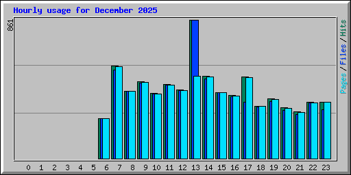 Hourly usage for December 2025