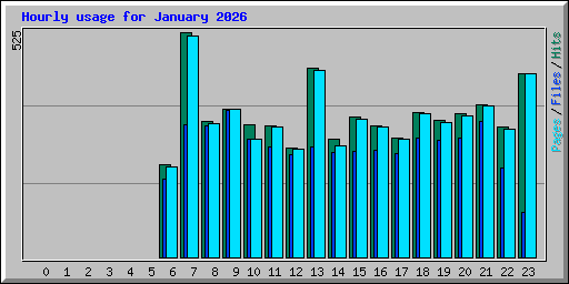 Hourly usage for January 2026